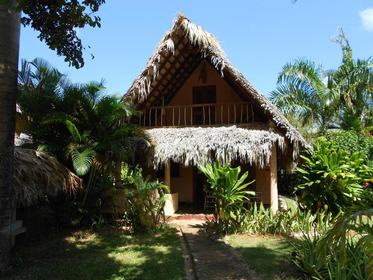 Casa 3 Amigos-Palm Roofed House Villa Las Galeras Exterior photo
